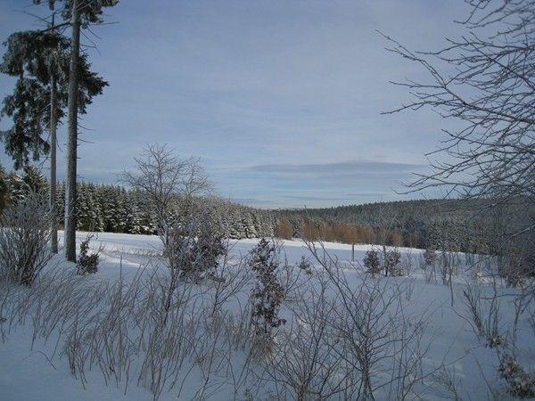 Kammbaude Lejlighed Neuhermsdorf Eksteriør billede